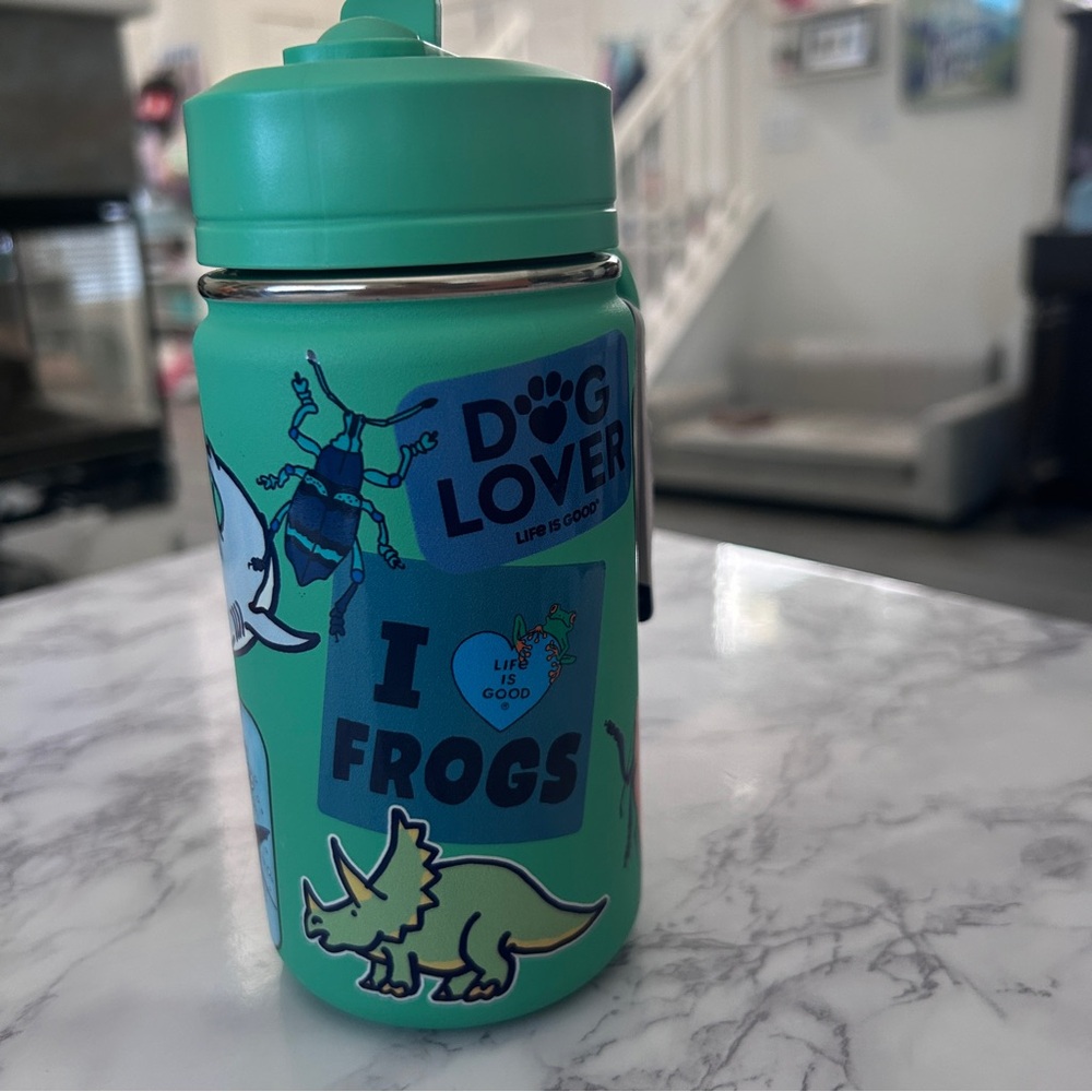 NWT Life is Good, Stainless Steel, Kids Water Bottle, 14oz With Straw